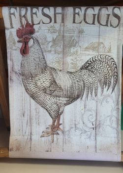 Eggs  & Roosters