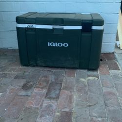 Igloo Cooler