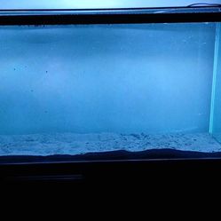 65 Gallon Aquarium 