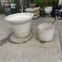 Pots Plants 
