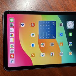 iPad 10th Generation Cellular Unlocked Warranty 