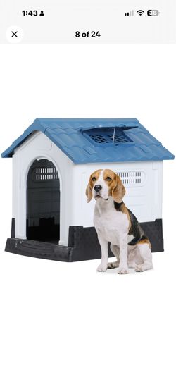 Brand New Dogg House