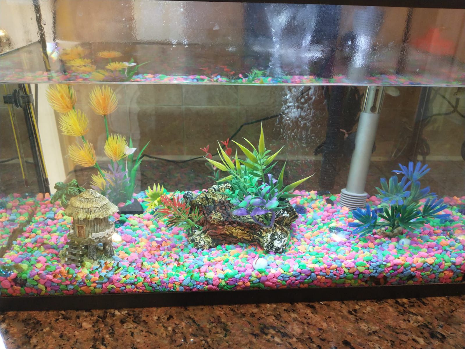 10 Gallon Fish Tank For $75 Or Best Offer