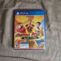 PS4 Cobra Kai 2