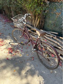 Vintage bike women $150