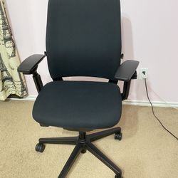 Amia Steelcase Ergo Chair