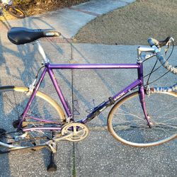 Diamondback Podium 1.0 58cm Road Bike Bicycle Shimano  RX100 Components All Tuned Up - $100 FIRM