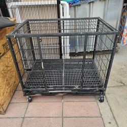 Dog Kennel