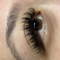 Lash Strips