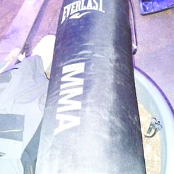 Everlast Punching Bag Black Size 4 Foot 