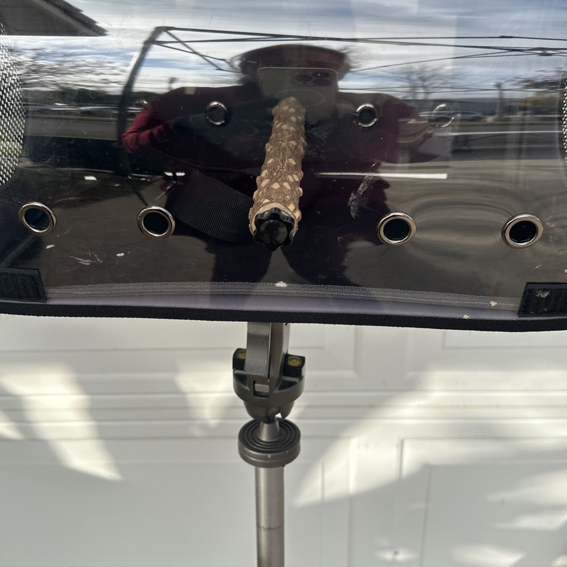 Carry De Cacatúa Para Viajar
