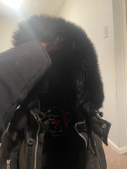 Black moose