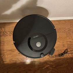 Roborock Robot Vacuum 