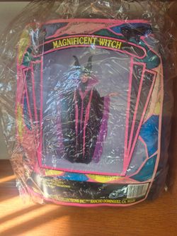 Magnificent Witch Halloween Costume