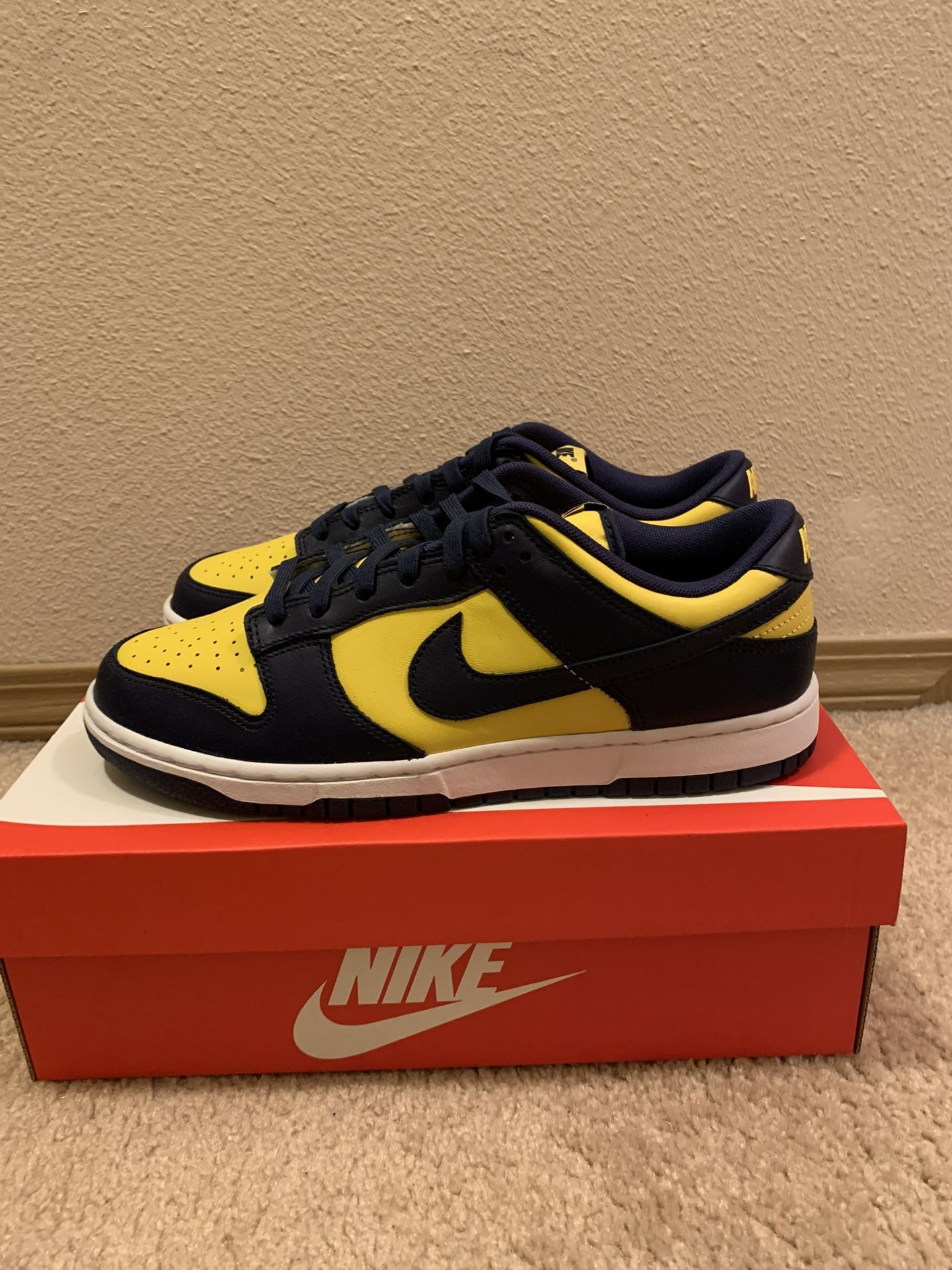 Nike Dunk Michigan 