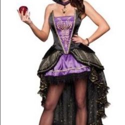 Evil Queen costume