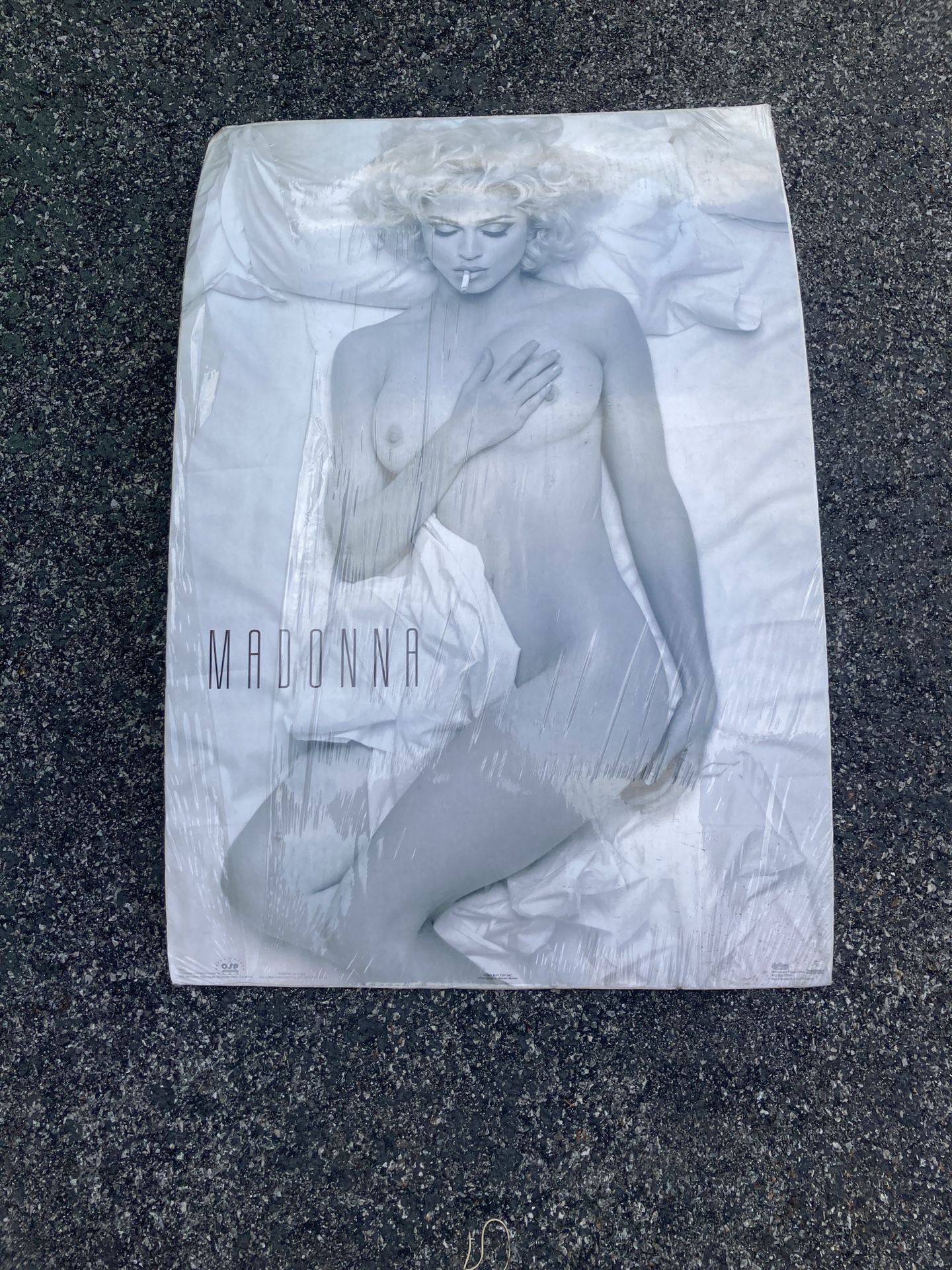 Madonna Poster