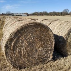 Hay Round Bales