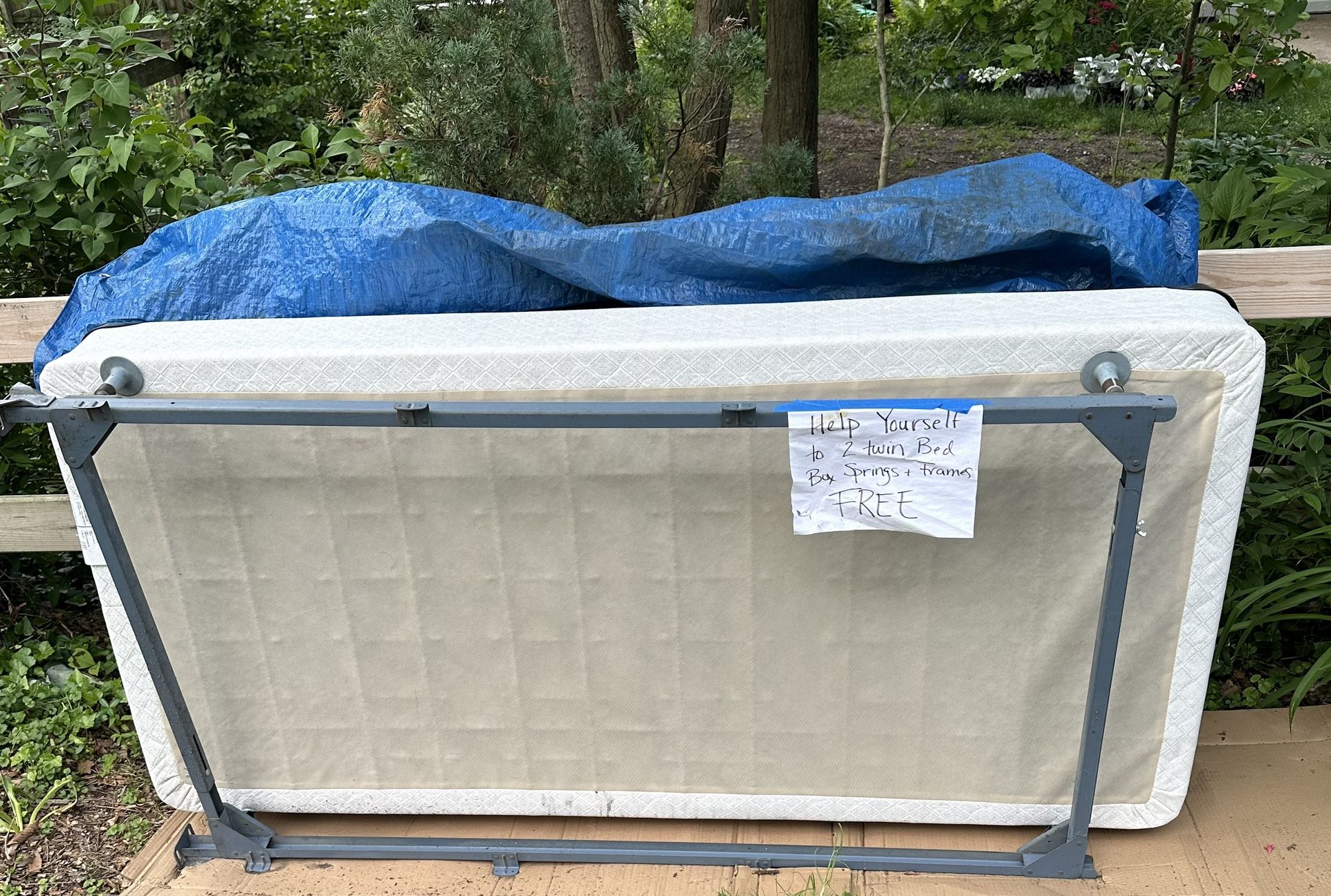 FREE - 2 - Twin Box Springs & Frames
