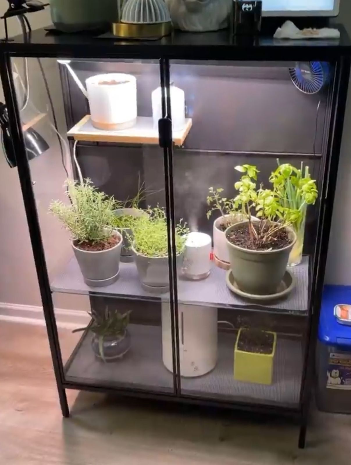 Terrarium - glass Plant Cabinet. In-house Plant Growing Cabinet 