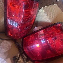 BRAND NEW TAILIGHTS 