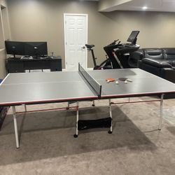 Ping Pong Table