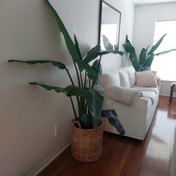 Faux/Fake Birds of Paradise Plant from Pottery Barn