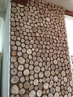 Wood Slices
