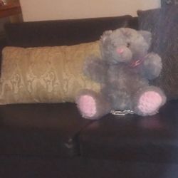 Teddy Bear Back Pack.