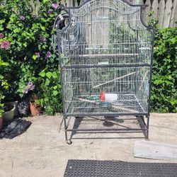 Bird Cage  White And Black