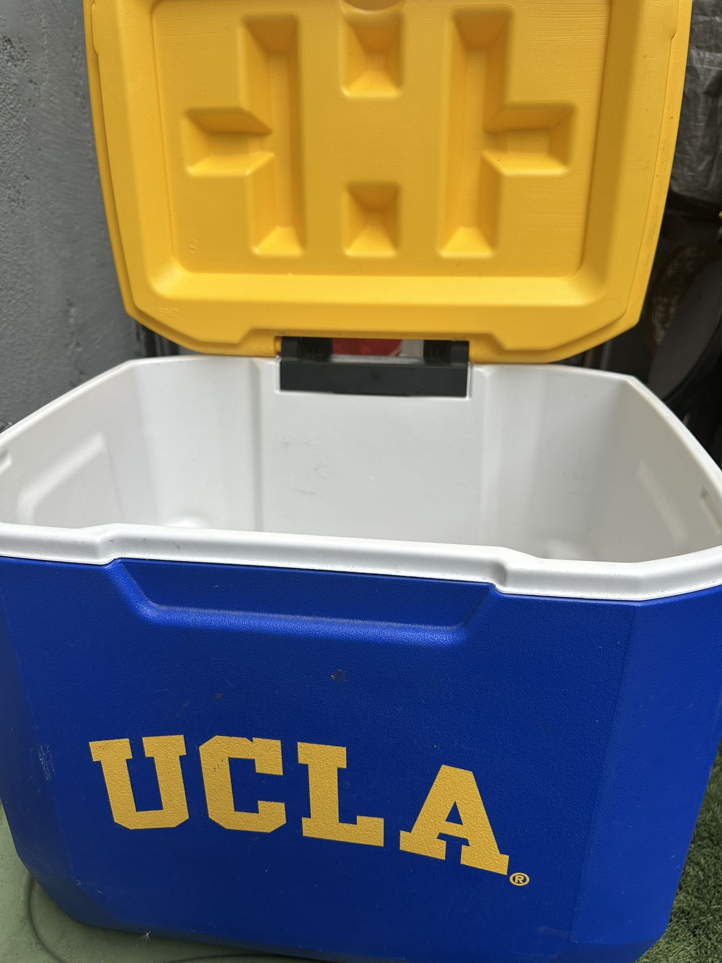 Cooler UCLA