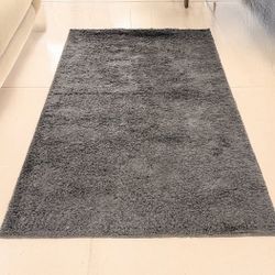 Solid Shag Rug 6’x9’
