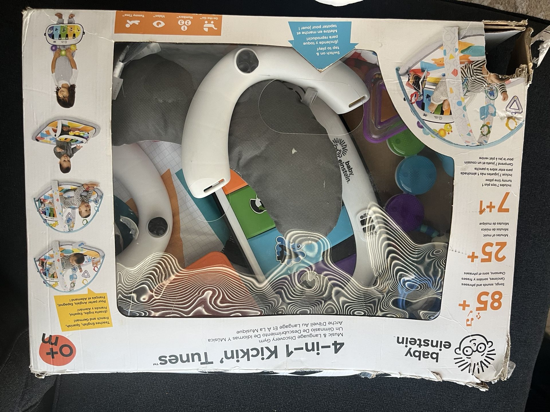Baby Einstein Play Mat 