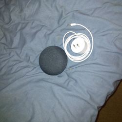 Google Nest Mini