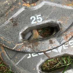 Weight And Dumbbells 