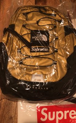 Supreme The North Face Metallic Gold Back pack