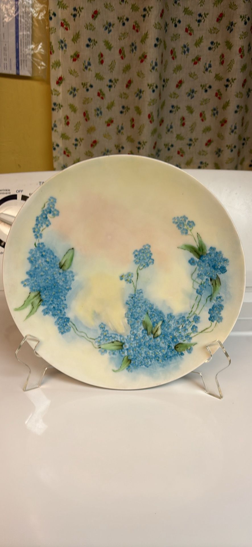Thomas Sevres Bavaria porcelain hand painted in shades of blue Forget-Me-Nots collectors plate 10” Original hallmark