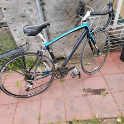 Bike Needs Tlc