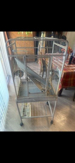 Bird Cage