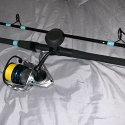 Quantum Strive 4000 & Dark Matter Sps Surf Fishing Rod