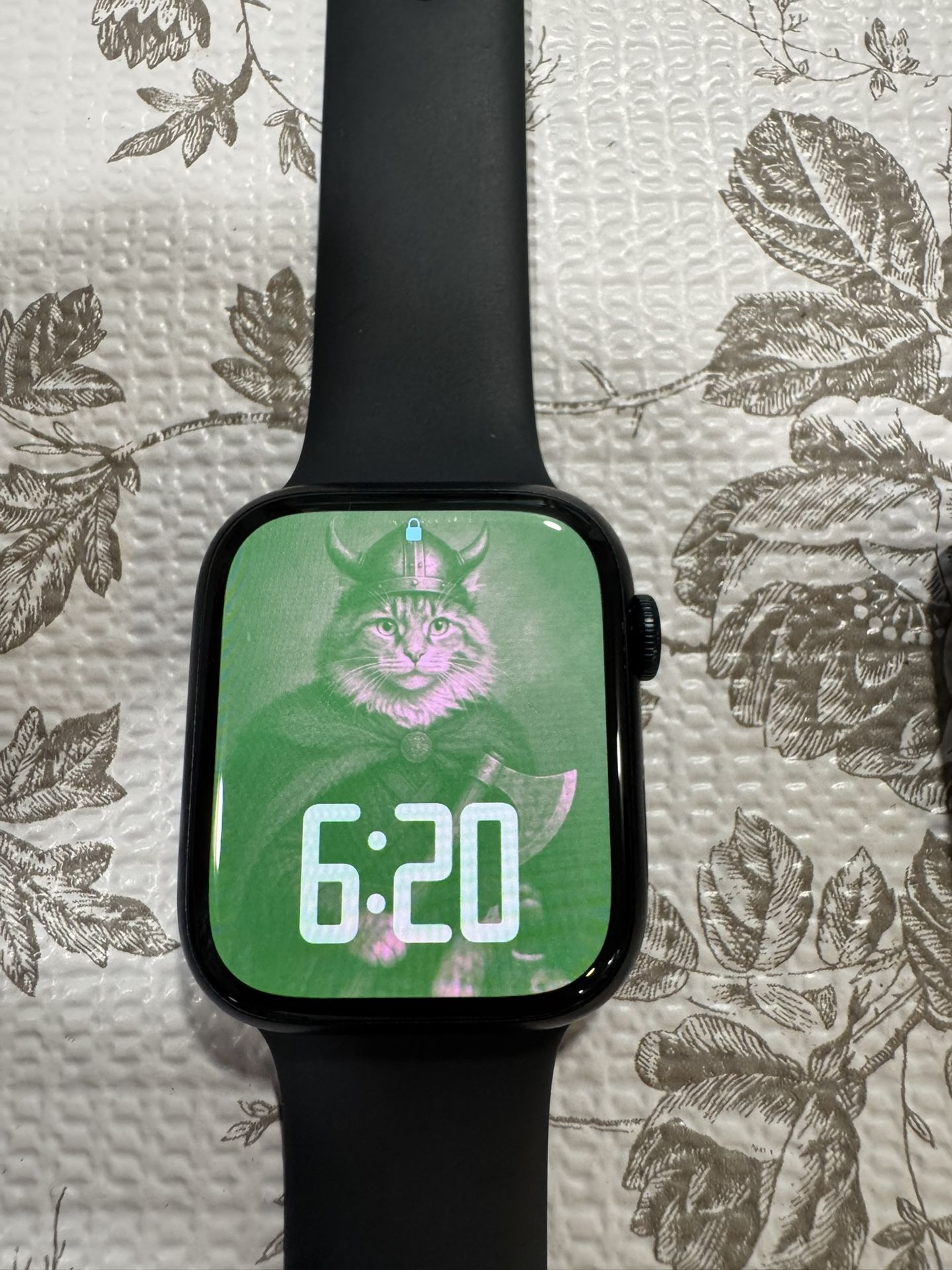 Apple Watch Series 9 (45mm, GPS) – 100% Battery, Charger & Case