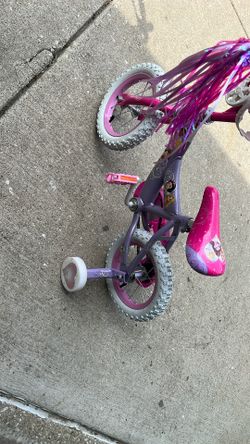 Toddler Princes Bike