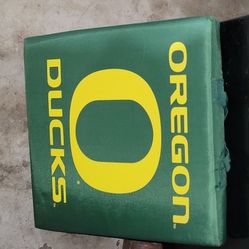 Ducks Stadium Cushions