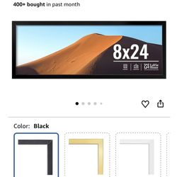8x24 Picture Frame 