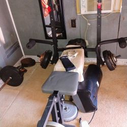 Weight Bench/Plates/Bars