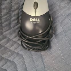 Computer Mouse 
