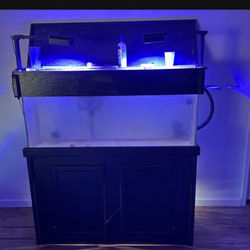 55 Gallon Fish Tank 