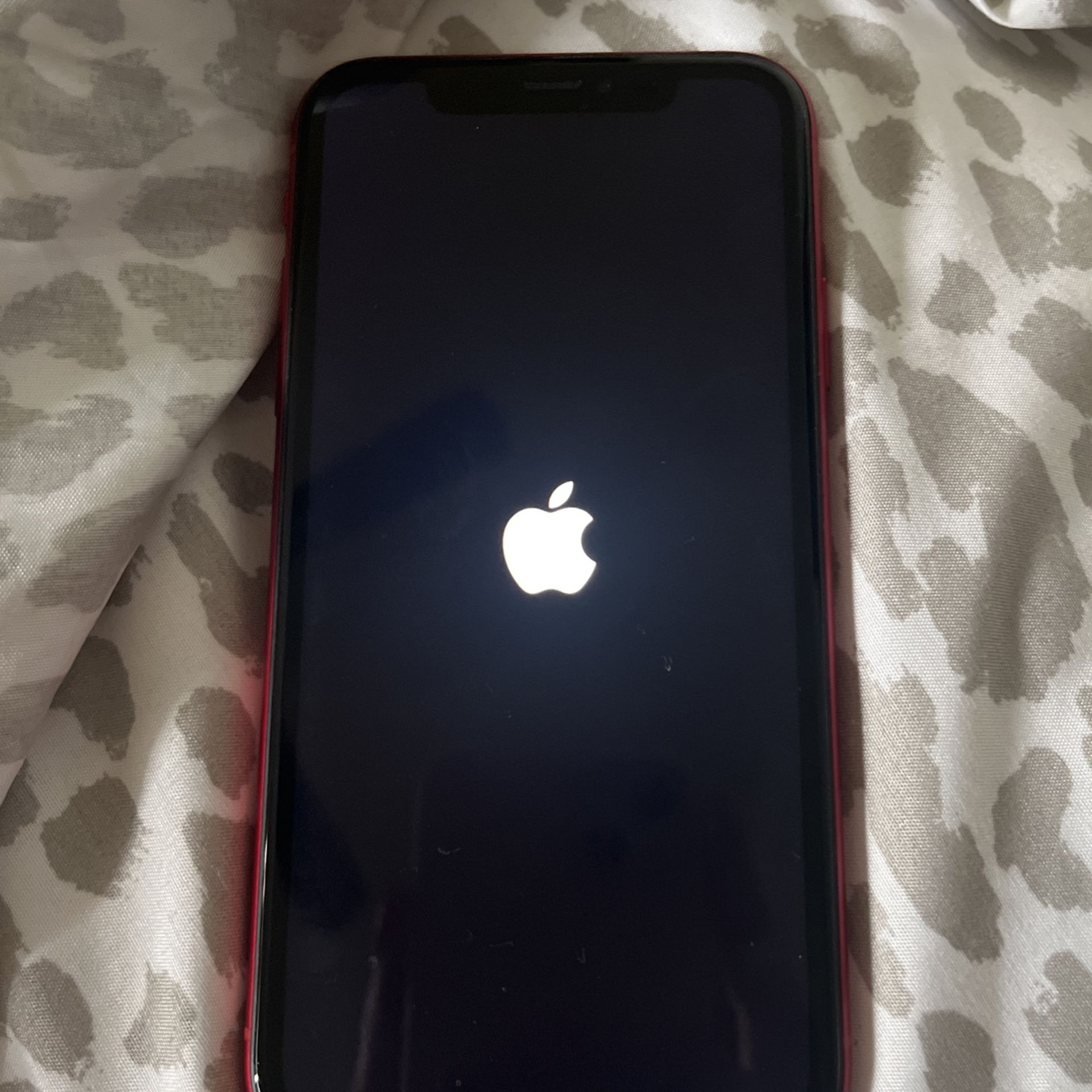 iPhone X Unlocked