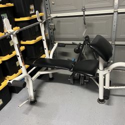 Weight Bench With Weights 