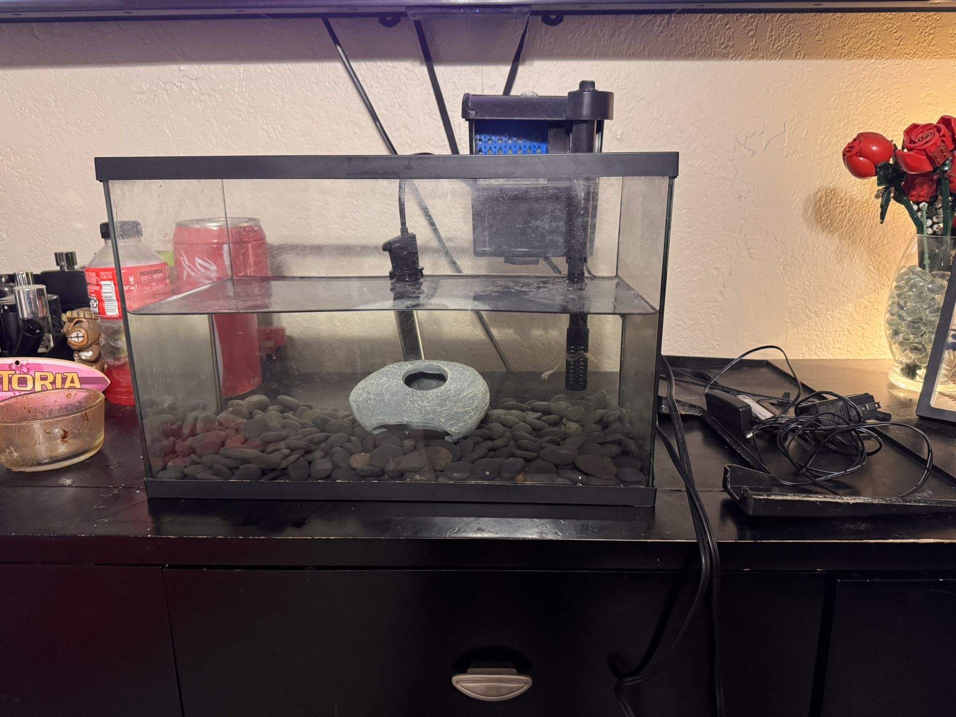 Fish Tank 10 Gallon